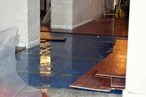 Professional Water Damage Restoration technician working in Alma, MO